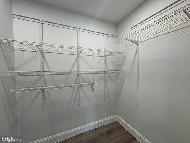 spacious closet featuring hardwood / wood-style flooring