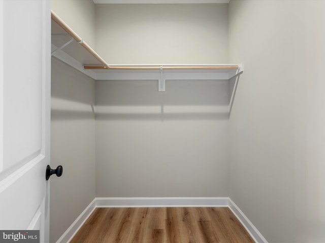 walk in closet featuring wood finished floors