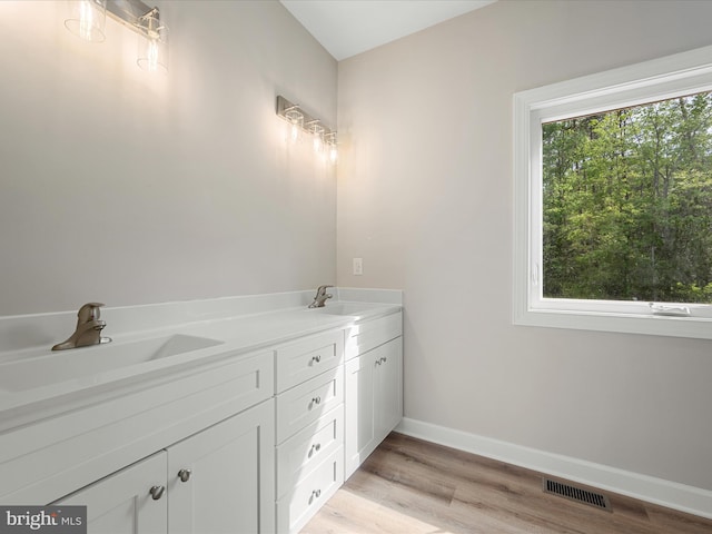 bathroom featuring visible vents, a sink, baseboards, and wood finished floors