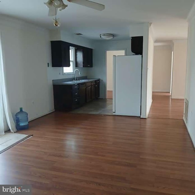 kitchen with dark hardwood / wood-style flooring, sink, ceiling fan, and white fridge