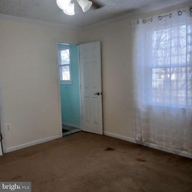 carpeted empty room featuring ornamental molding and ceiling fan