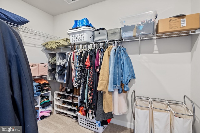 spacious closet with carpet