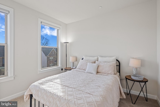 bedroom featuring carpet floors