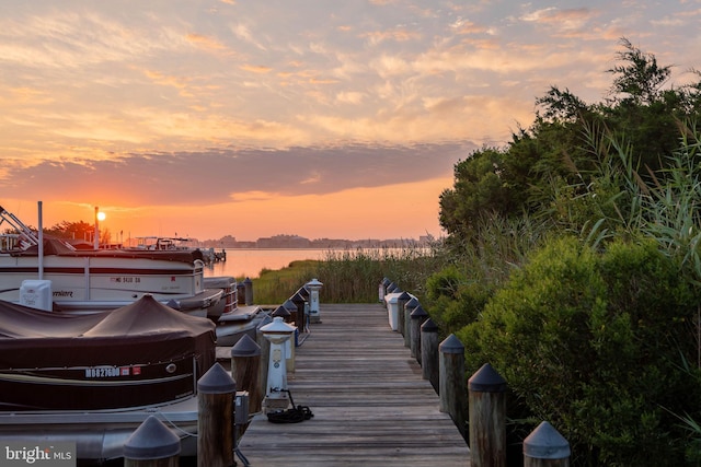 dock area featuring a water view