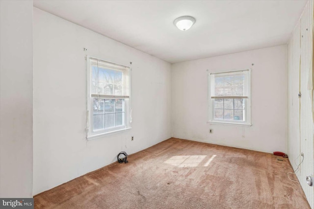 carpeted spare room with plenty of natural light