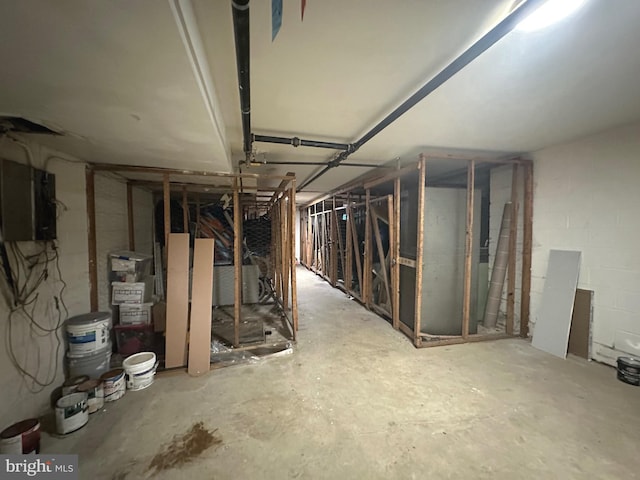 basement with electric panel