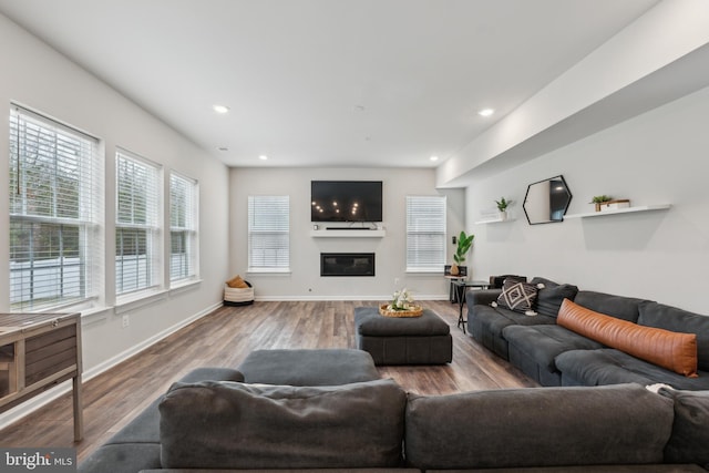 living room featuring hardwood / wood-style floors