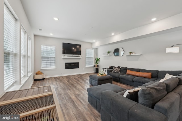 living room featuring hardwood / wood-style flooring