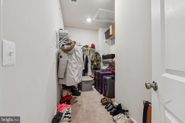 spacious closet featuring carpet floors