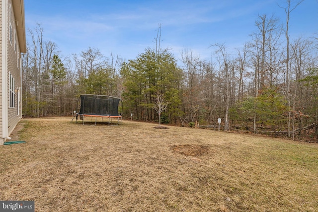 view of yard with a trampoline