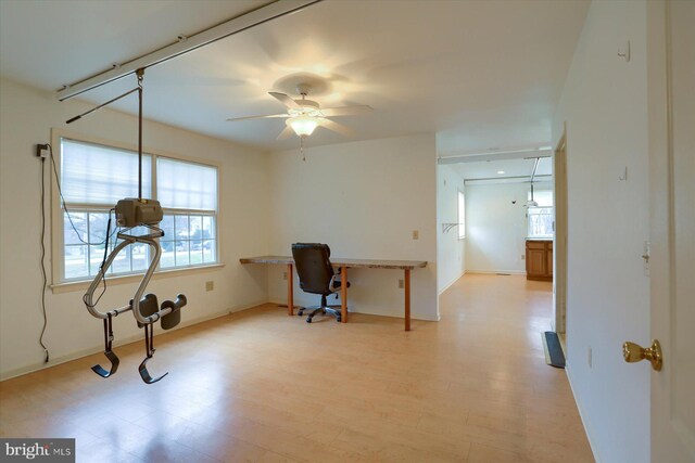 home office with ceiling fan and light wood-type flooring