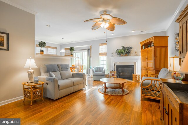 23137 Pine Run, Millsboro, DE 19966 - living room featuring wood-type flooring, ornamental molding, and ceiling fan