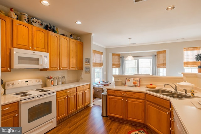 23137 Pine Run, Millsboro, DE 19966 - kitchen with decorative light fixtures, sink, ornamental molding, a healthy amount of sunlight, and white appliances