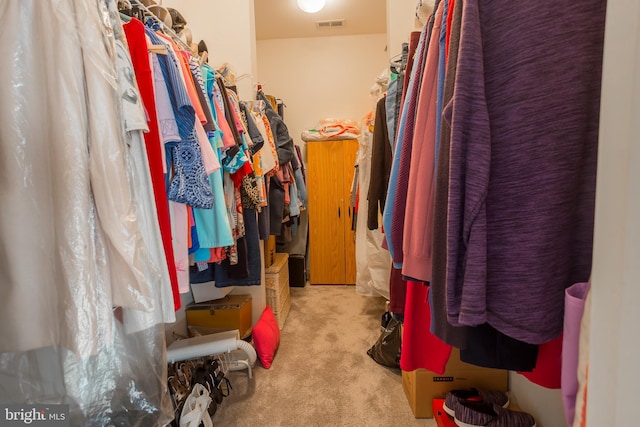 23137 Pine Run, Millsboro, DE 19966 - spacious closet with light carpet