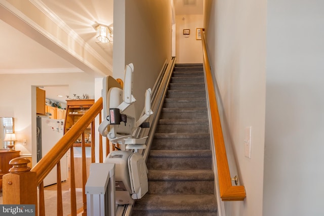 23137 Pine Run, Millsboro, DE 19966 - stairway featuring ornamental molding