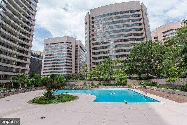 view of swimming pool with a patio area