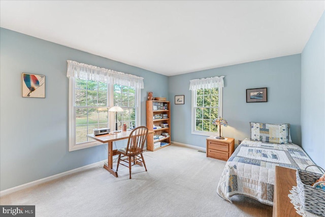 bedroom with light colored carpet