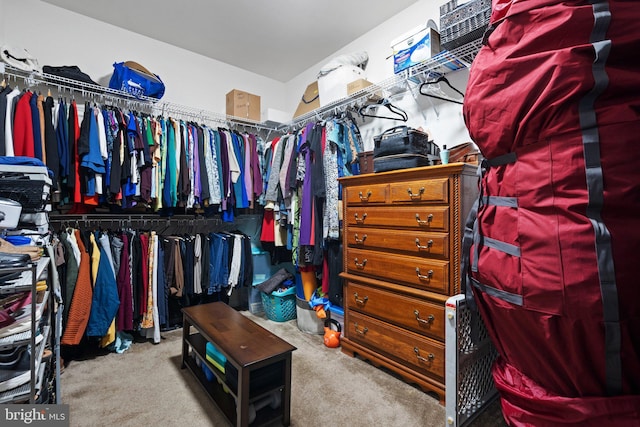 spacious closet with carpet flooring