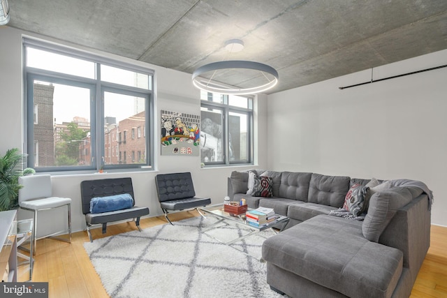 living room with wood-type flooring and a wealth of natural light