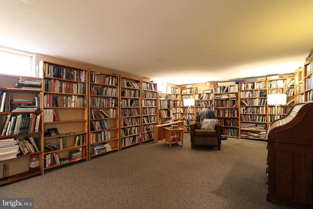 living area with carpet floors