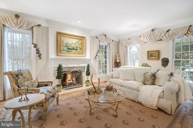 living area with ornamental molding