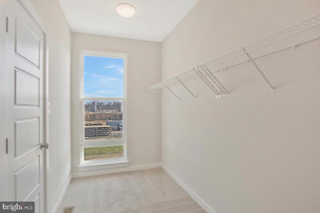 spacious closet featuring light colored carpet