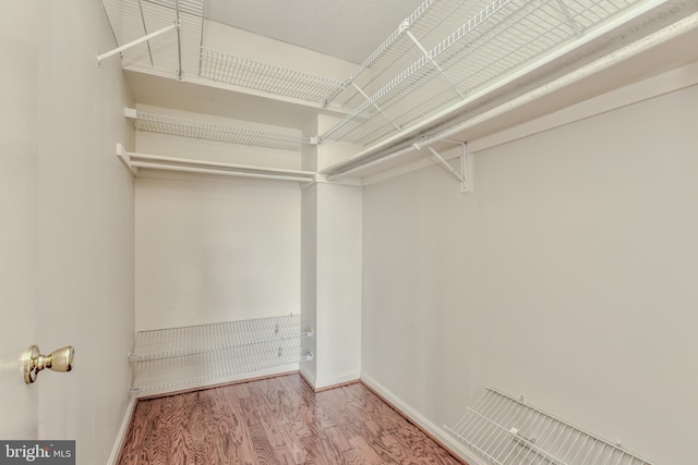 walk in closet with wood-type flooring