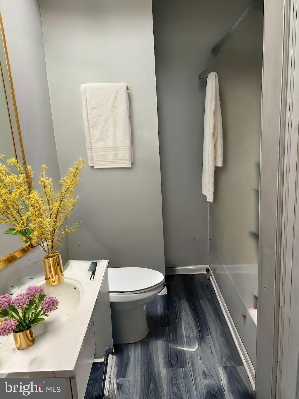 bathroom featuring vanity, hardwood / wood-style flooring, and toilet