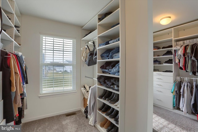 walk in closet with light carpet