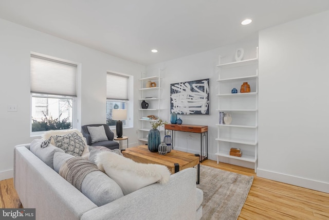 living room featuring light hardwood / wood-style floors