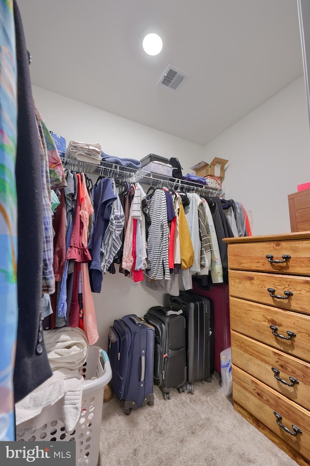 walk in closet featuring light colored carpet