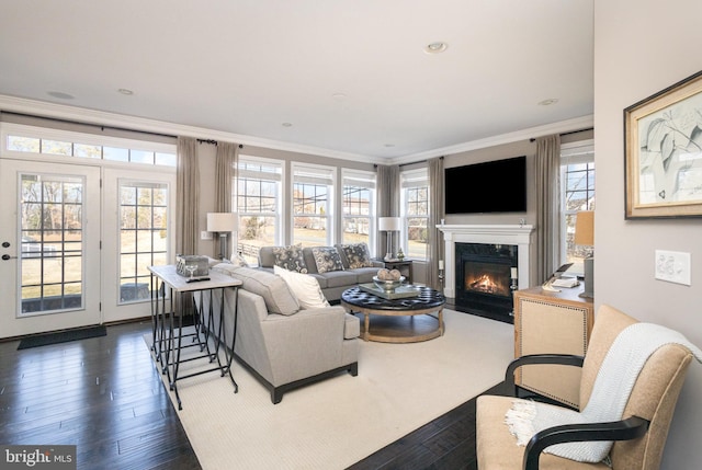 living room with ornamental molding and dark hardwood / wood-style floors