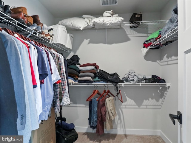 walk in closet with carpet flooring