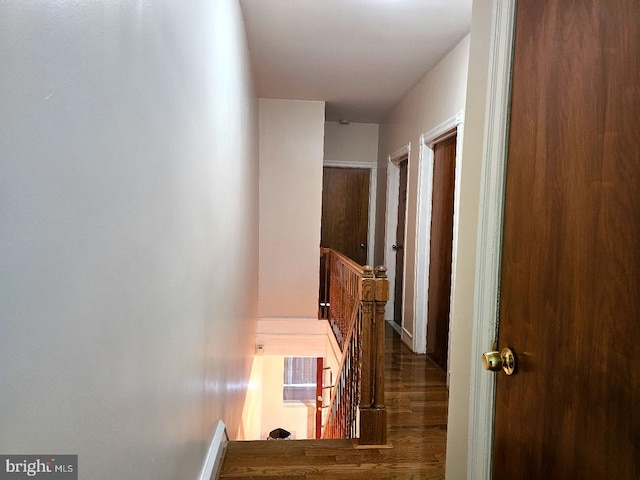 hall featuring dark wood-type flooring