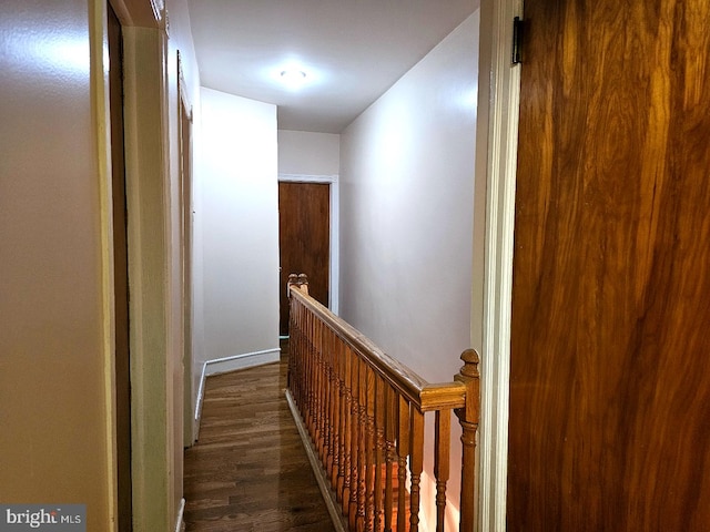 hall featuring dark wood-type flooring