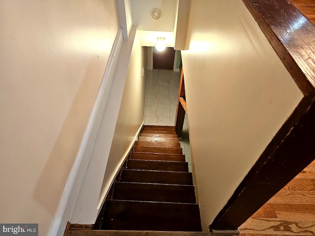 staircase featuring wood-type flooring