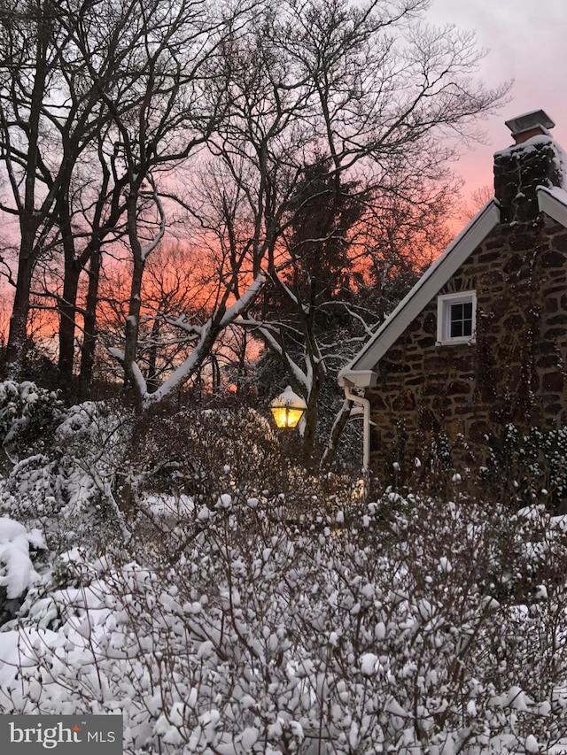 view of nature at dusk