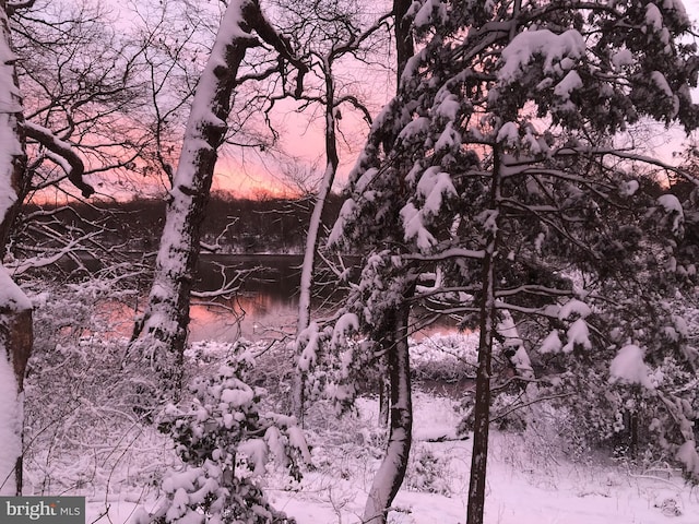 nature at dusk with a water view