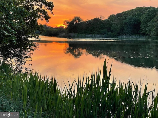 water view