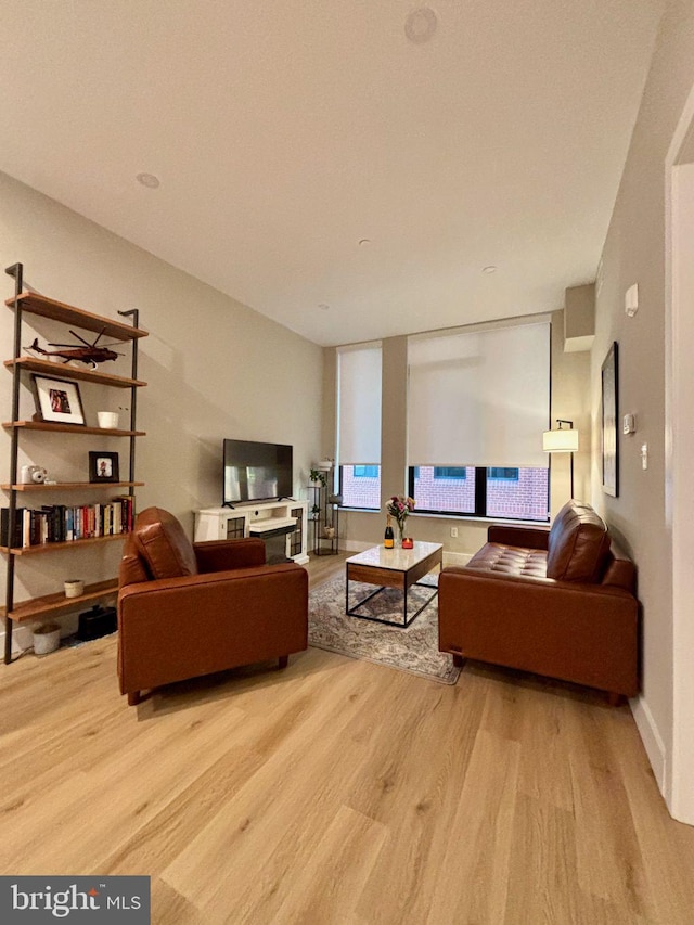 living room with light hardwood / wood-style flooring