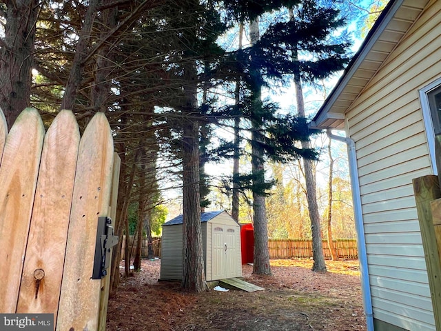 view of yard featuring a shed