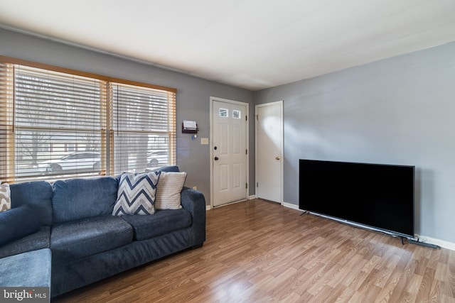 living room with wood-type flooring