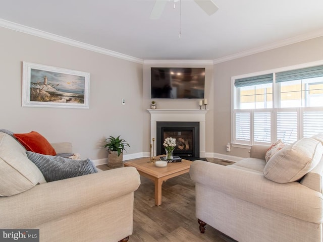 living room featuring ceiling fan, ornamental molding, and wood-type flooring