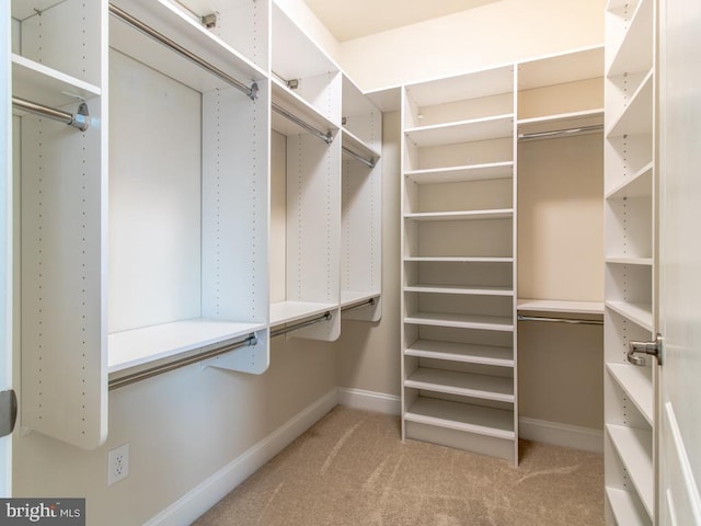 walk in closet with light colored carpet