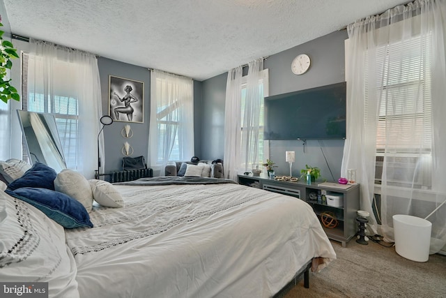 carpeted bedroom with a textured ceiling