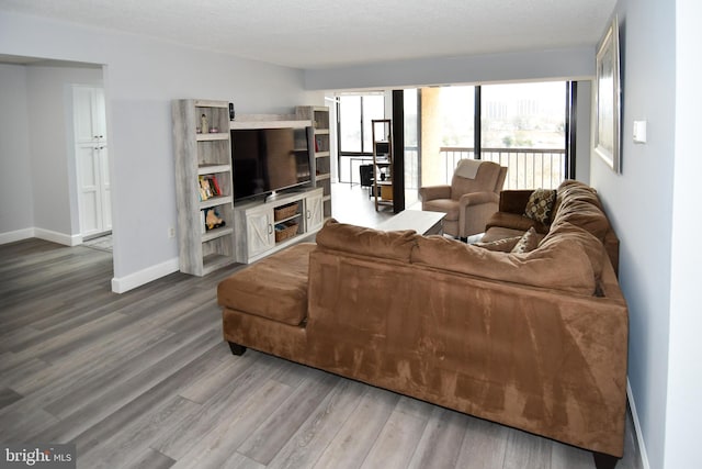 living room with wood-type flooring and a textured ceiling