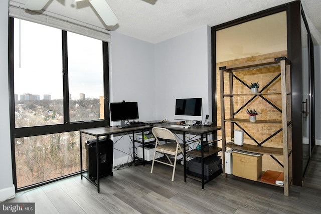 office space with wood-type flooring, a textured ceiling, and a wall of windows