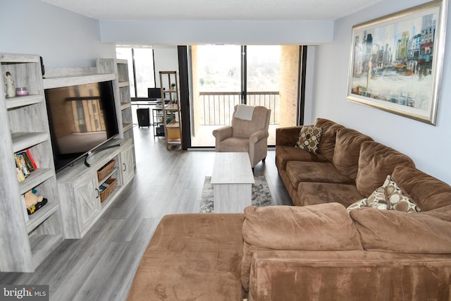 living room with hardwood / wood-style flooring