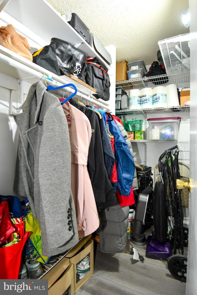 spacious closet with hardwood / wood-style flooring