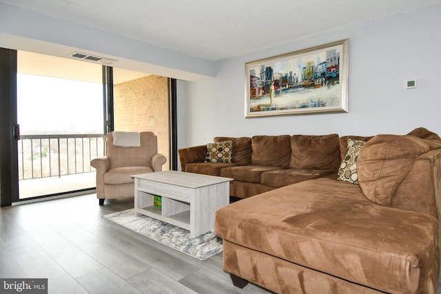 living room featuring wood-type flooring